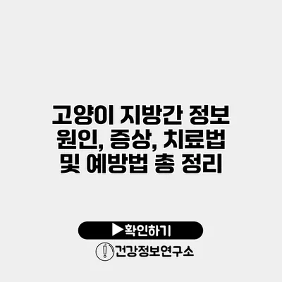 고양이 지방간 정보 원인, 증상, 치료법 및 예방법 총 정리