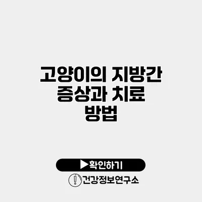 고양이의 지방간 증상과 치료 방법