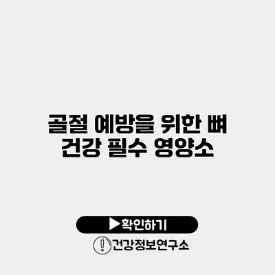 골절 예방을 위한 뼈 건강 필수 영양소