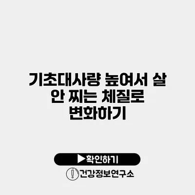 기초대사량 높여서 살 안 찌는 체질로 변화하기