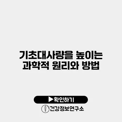 기초대사량을 높이는 과학적 원리와 방법