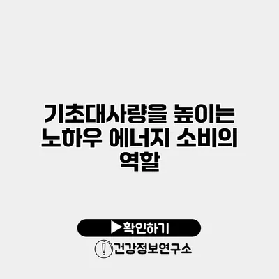 기초대사량을 높이는 노하우 에너지 소비의 역할
