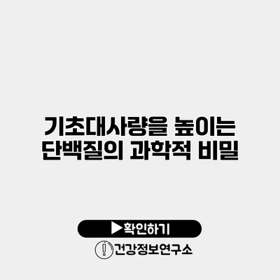 기초대사량을 높이는 단백질의 과학적 비밀