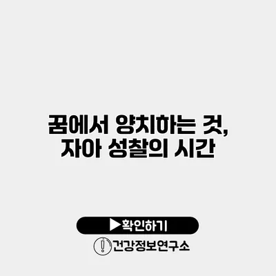 꿈에서 양치하는 것, 자아 성찰의 시간