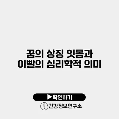 꿈의 상징 잇몸과 이빨의 심리학적 의미