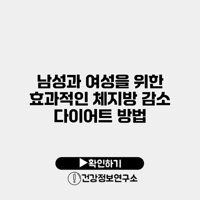 남성과 여성을 위한 효과적인 체지방 감소 다이어트 방법