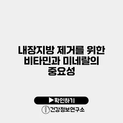 내장지방 제거를 위한 비타민과 미네랄의 중요성