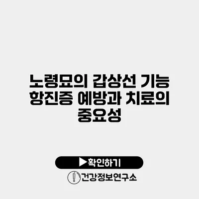 노령묘의 갑상선 기능 항진증 예방과 치료의 중요성