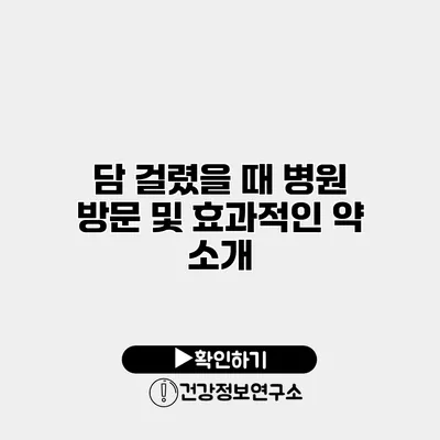 담 걸렸을 때 병원 방문 및 효과적인 약 소개