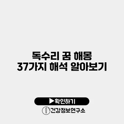 독수리 꿈 해몽 37가지 해석 알아보기