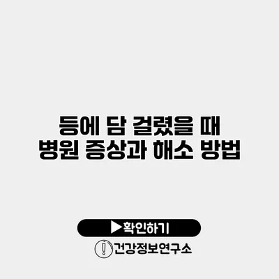 등에 담 걸렸을 때 병원 증상과 해소 방법