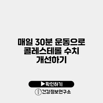 매일 30분 운동으로 콜레스테롤 수치 개선하기
