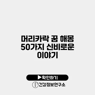 머리카락 꿈 해몽 50가지 신비로운 이야기