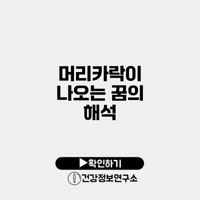 머리카락이 나오는 꿈의 해석