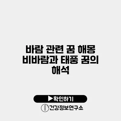 바람 관련 꿈 해몽 비바람과 태풍 꿈의 해석