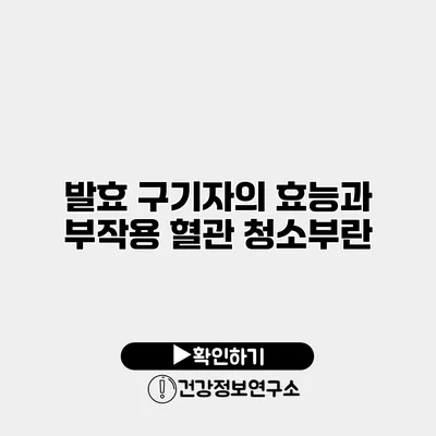 발효 구기자의 효능과 부작용 혈관 청소부란?