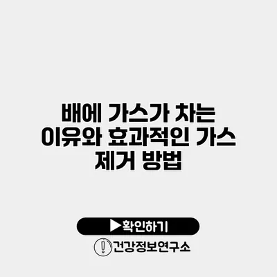 배에 가스가 차는 이유와 효과적인 가스 제거 방법