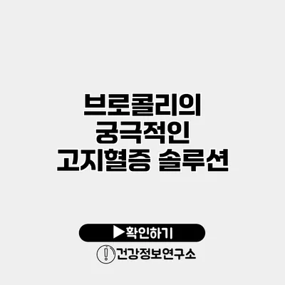 브로콜리의 궁극적인 고지혈증 솔루션