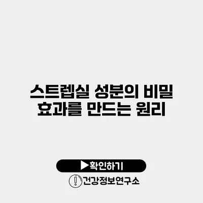 스트렙실 성분의 비밀 효과를 만드는 원리