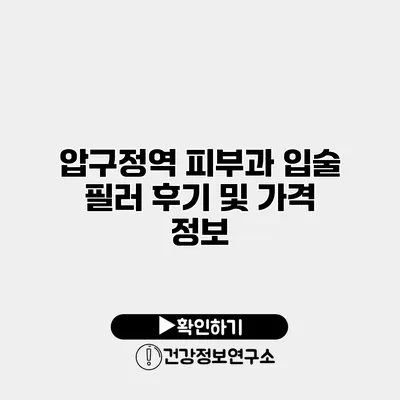 압구정역 피부과 입술 필러 후기 및 가격 정보