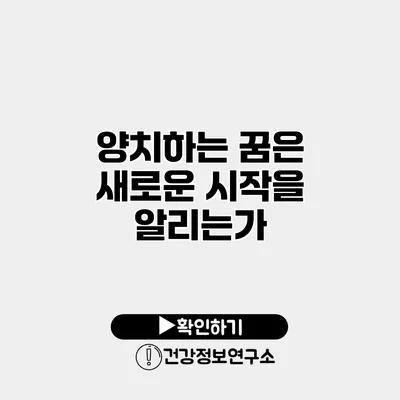 양치하는 꿈은 새로운 시작을 알리는가?