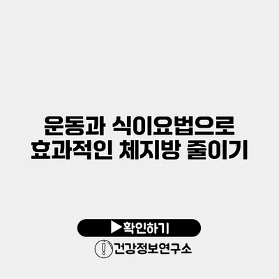 운동과 식이요법으로 효과적인 체지방 줄이기