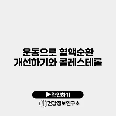 운동으로 혈액순환 개선하기와 콜레스테롤