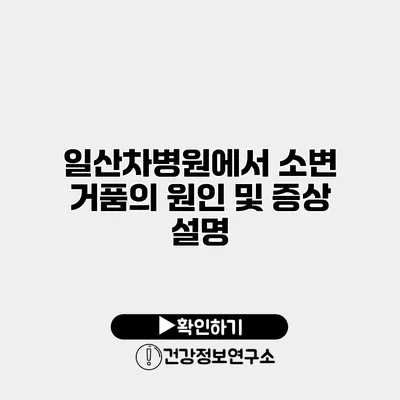 일산차병원에서 소변 거품의 원인 및 증상 설명