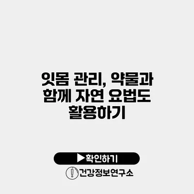 잇몸 관리, 약물과 함께 자연 요법도 활용하기