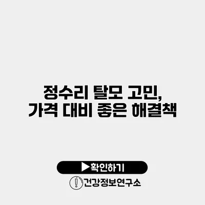 정수리 탈모 고민, 가격 대비 좋은 해결책