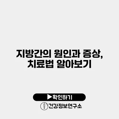 지방간의 원인과 증상, 치료법 알아보기