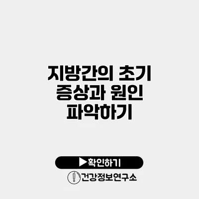 지방간의 초기 증상과 원인 파악하기