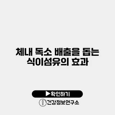 체내 독소 배출을 돕는 식이섬유의 효과