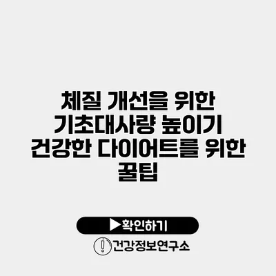 체질 개선을 위한 기초대사량 높이기 건강한 다이어트를 위한 꿀팁