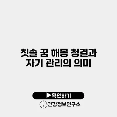 칫솔 꿈 해몽 청결과 자기 관리의 의미