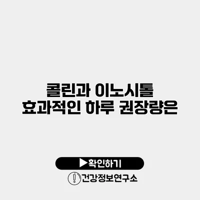 콜린과 이노시톨 효과적인 하루 권장량은?