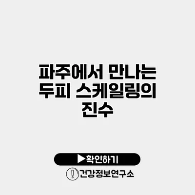 파주에서 만나는 두피 스케일링의 진수