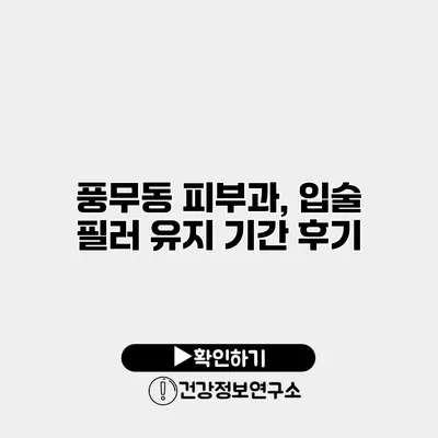 풍무동 피부과, 입술 필러 유지 기간 후기