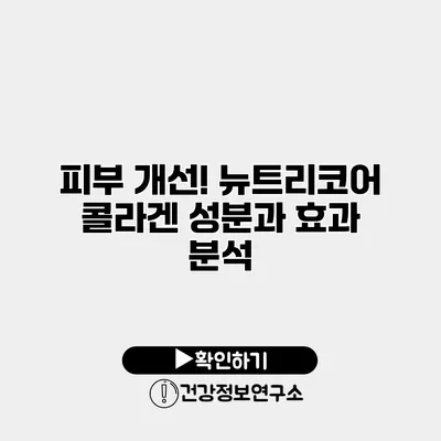 피부 개선! 뉴트리코어 콜라겐 성분과 효과 분석