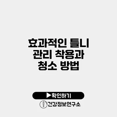 효과적인 틀니 관리 착용과 청소 방법