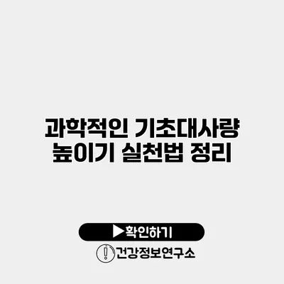 과학적인 기초대사량 높이기 실천법 정리
