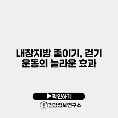 내장지방 줄이기, 걷기 운동의 놀라운 효과