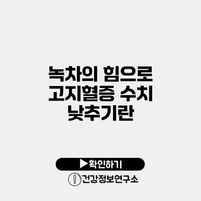 녹차의 힘으로 고지혈증 수치 낮추기란?