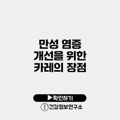 만성 염증 개선을 위한 카레의 장점
