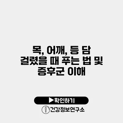 목, 어깨, 등 담 걸렸을 때 푸는 법 및 증후군 이해