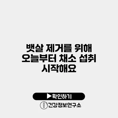 뱃살 제거를 위해 오늘부터 채소 섭취 시작해요