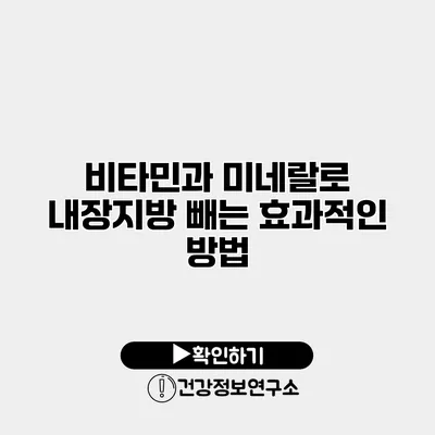 비타민과 미네랄로 내장지방 빼는 효과적인 방법