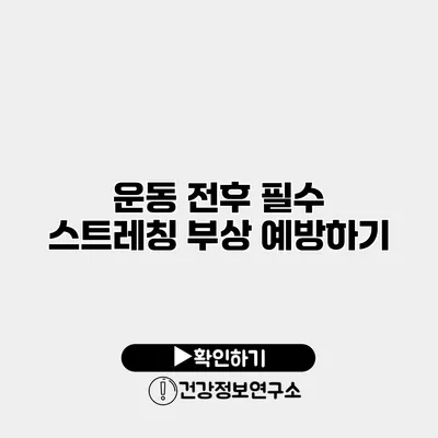 운동 전후 필수 스트레칭 부상 예방하기