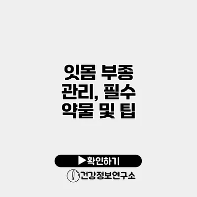잇몸 부종 관리, 필수 약물 및 팁