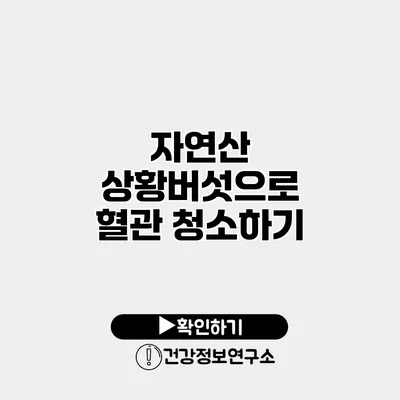 자연산 상황버섯으로 혈관 청소하기